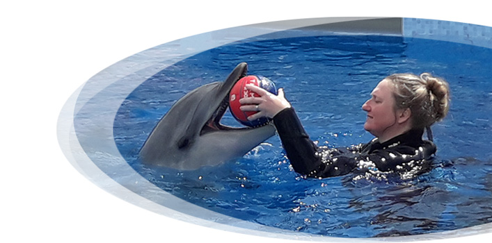 http://www.michaelafree.cz/wp-content/uploads/2022/09/delfin-terapie.jpg